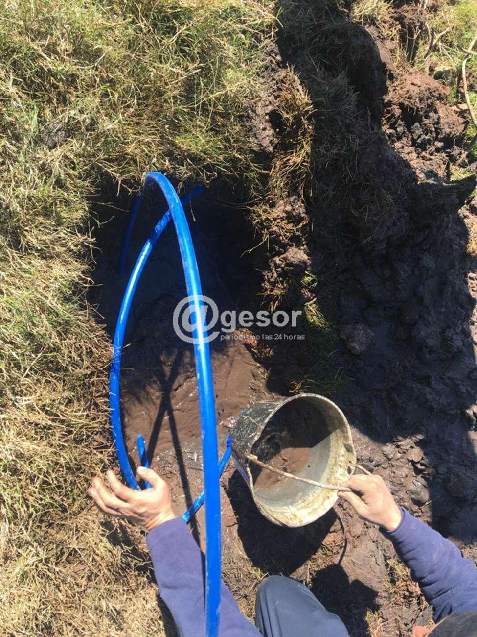 Image6